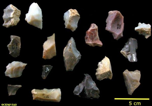 VARIOUS TYPES OF FLINT ARTEFACTS - N12-