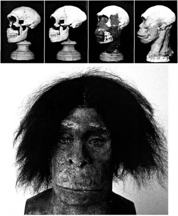 NEANDERTHAL VIEW 19th-20th CENTURY.RECONSTRUCTION OF QUINA WOMAN (1913)