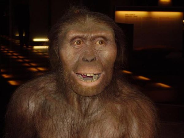 AUSTRALOPITHECUS - 4 KYA-