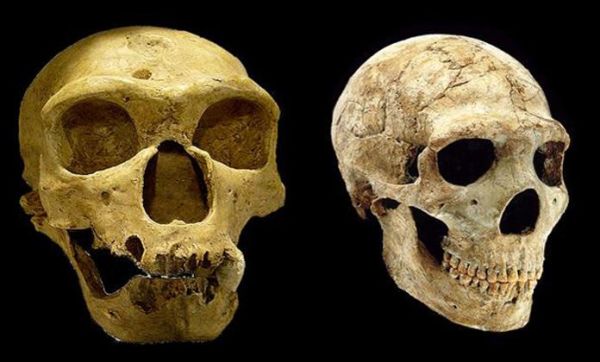 HOMO NEANDERTHALENSIS APPEARS IN EUROPE 300.000 YEARS AGO