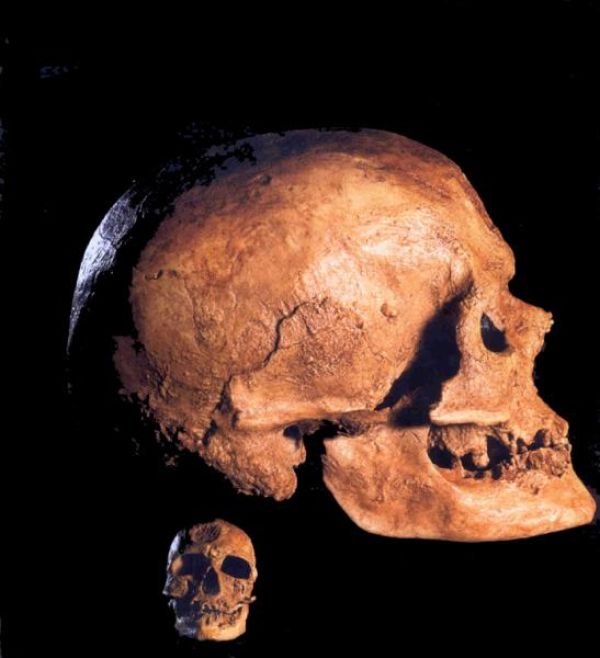 L'HOMO SAPIENS APAREIX A ÀFRICA.S'EXPANDEIX ARREU DEL MÓN FA 200.000 ANYS